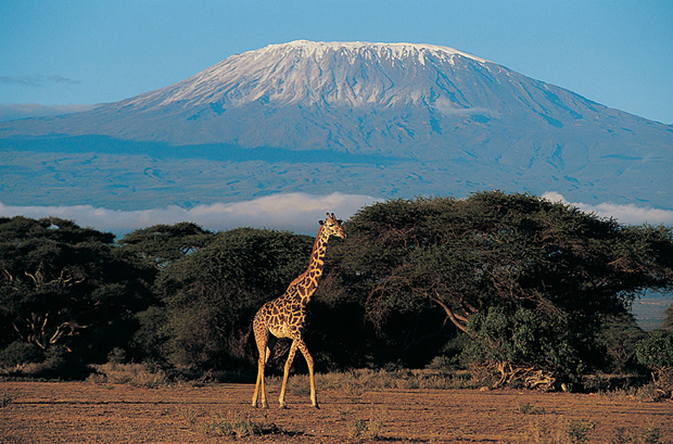 08Days-Machame-Route-Kilimanjaro-climbing